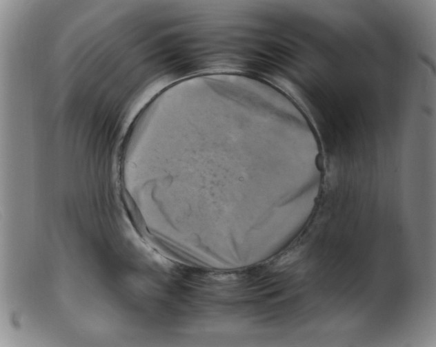 X0000098191243200805221509
