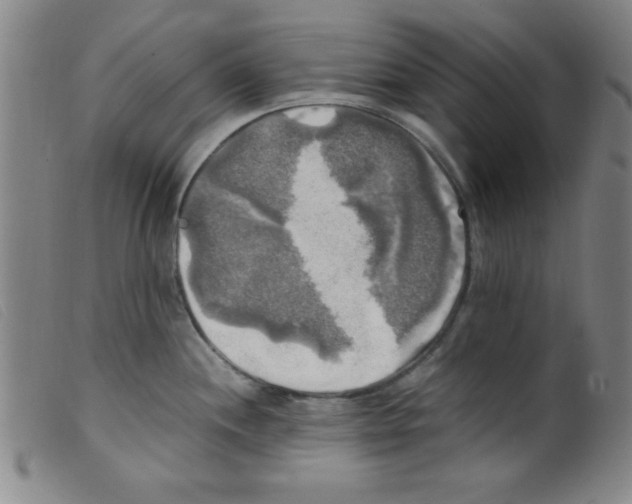 X0000098191244200805221509