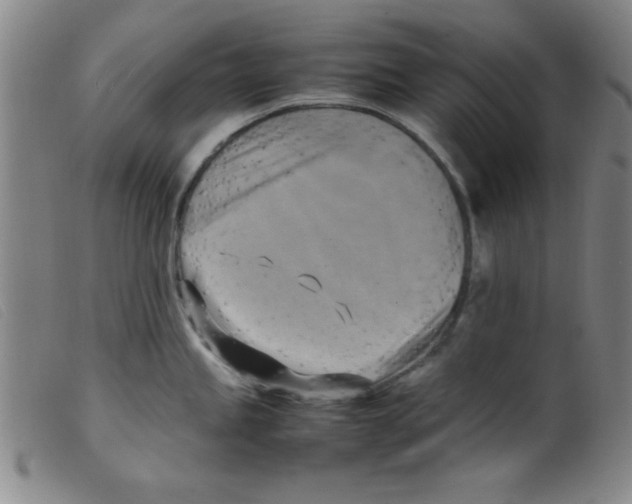 X0000098191245200805221510