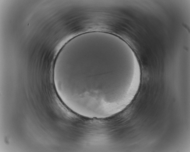 X0000098191246200805221510