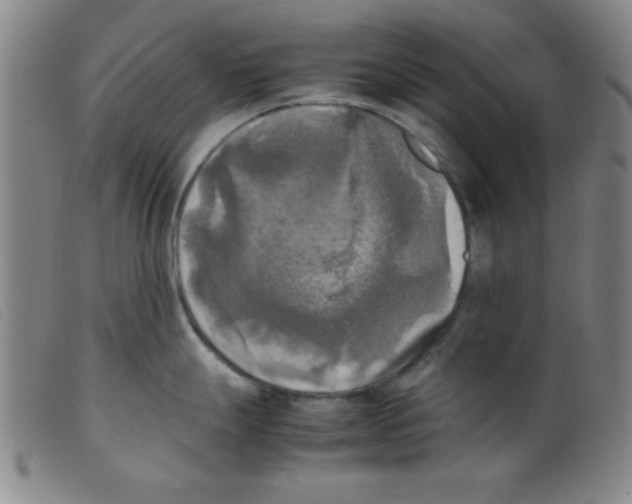 X0000098191247200805221510