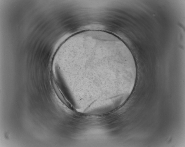 X0000098191248200805221510