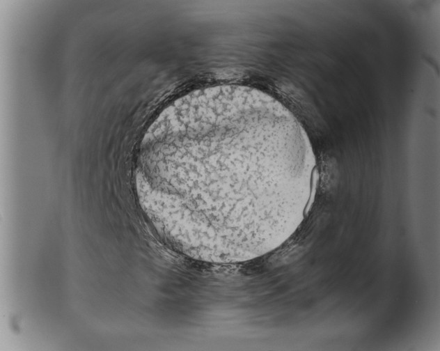 X0000098191249200805221509