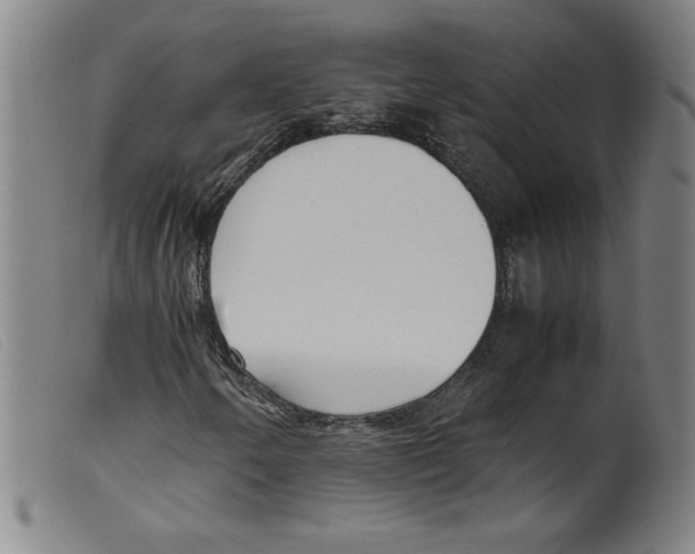 X0000098191250200805221509