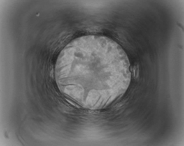 X0000098191251200805221509