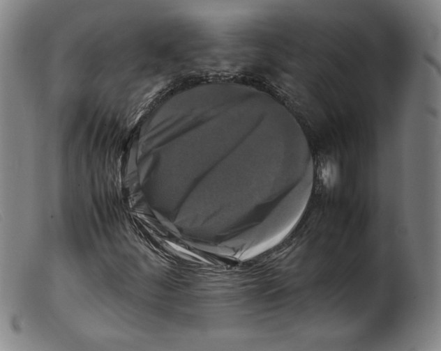 X0000098191252200805221509
