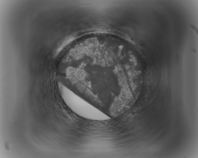 X0000098191255200805221509
