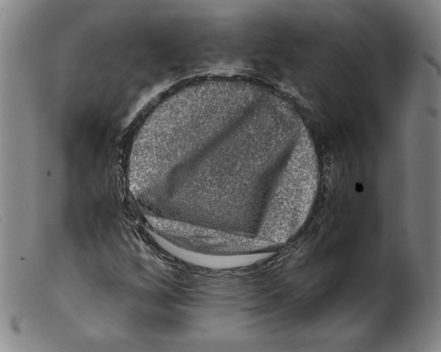 X0000098191256200805221509