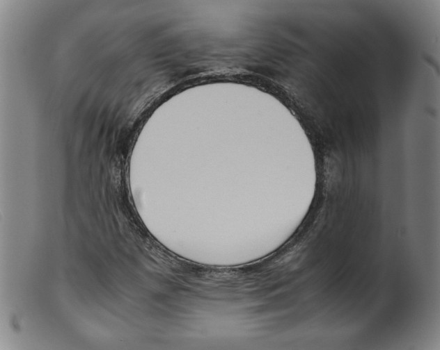 X0000098191257200805221509
