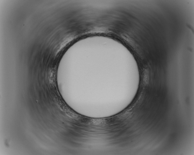 X0000098191258200805221509