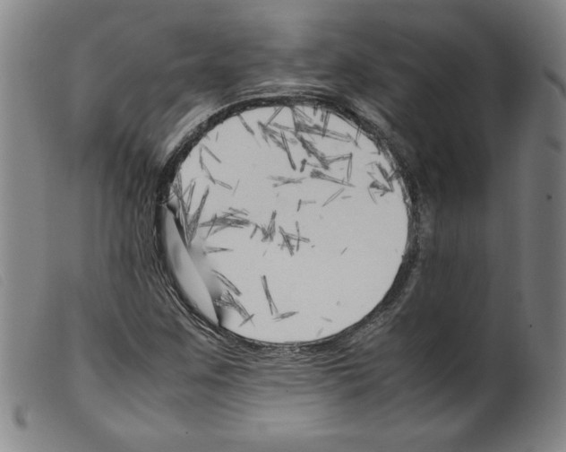 X0000098191259200805221509