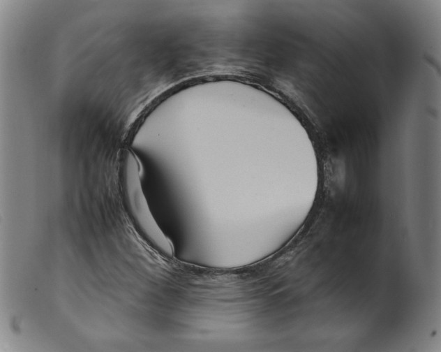 X0000098191260200805221509