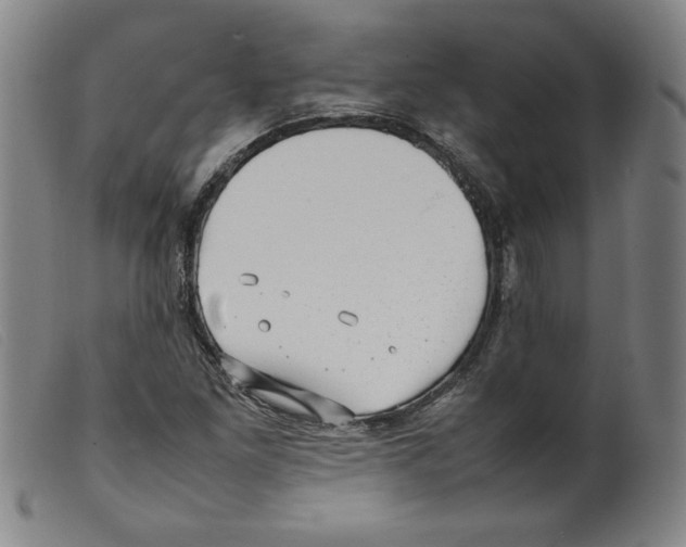 X0000098191261200805221509