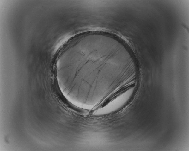 X0000098191263200805221509