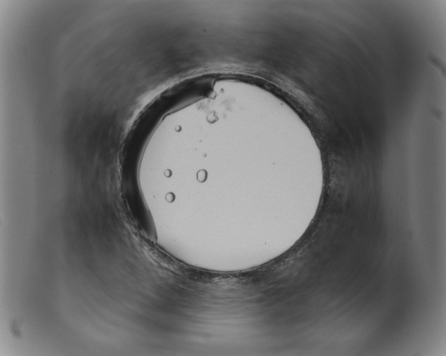 X0000098191264200805221509