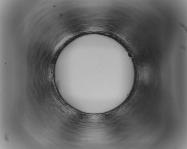 X0000098191266200805221509