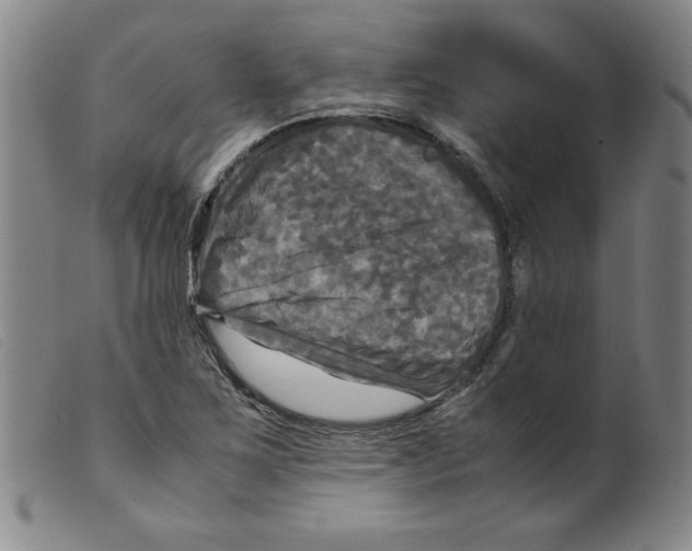 X0000098191267200805221509