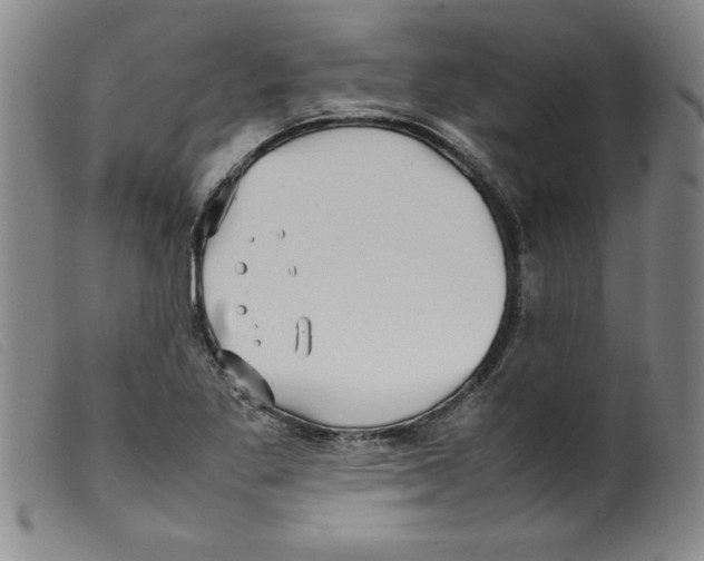 X0000098191269200805221509