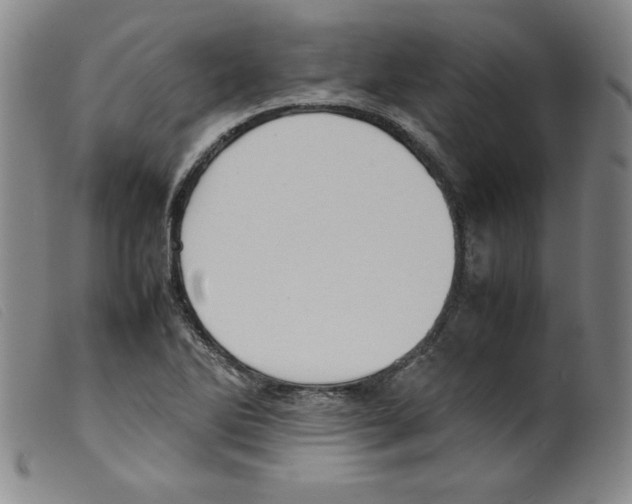 X0000098191270200805221509