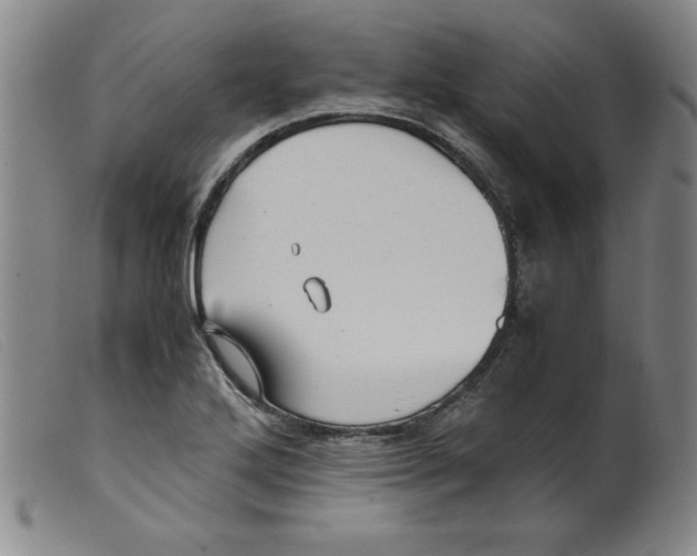 X0000098191272200805221508