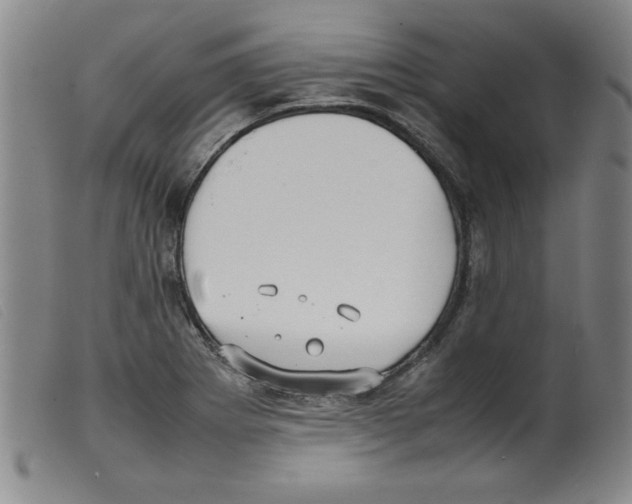 X0000098191273200805221508
