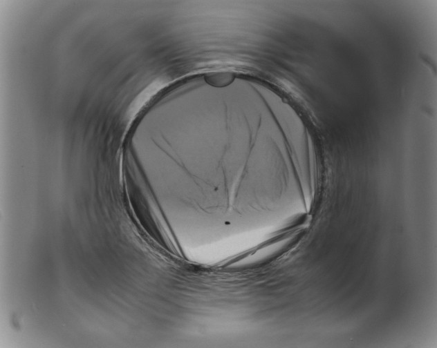 X0000098191275200805221508