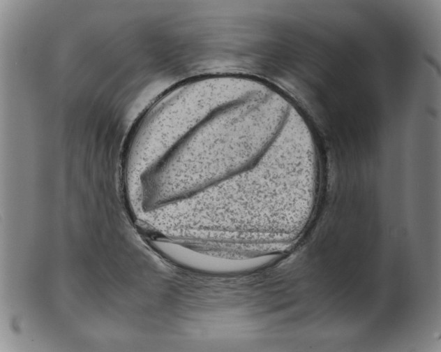 X0000098191277200805221508