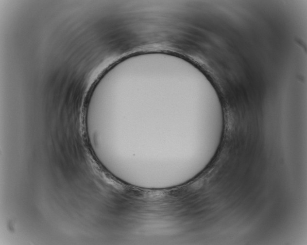 X0000098191278200805221508