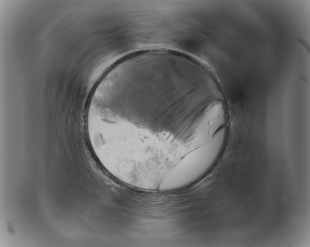 X0000098191279200805221508