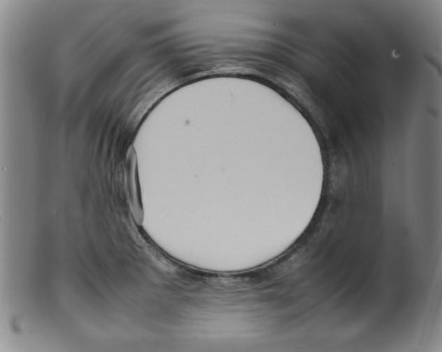 X0000098191281200805221508