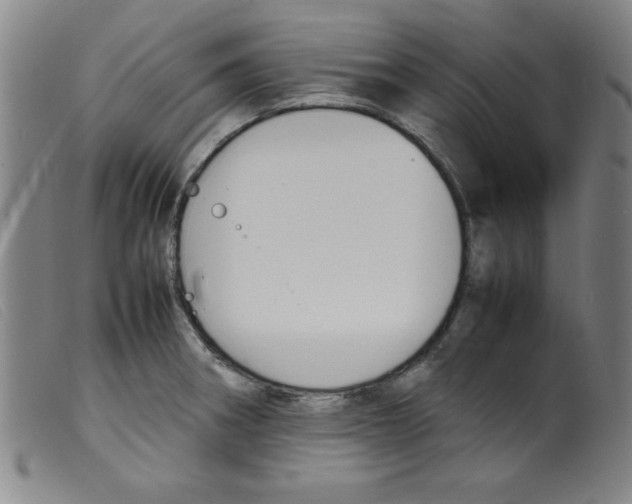 X0000098191282200805221508