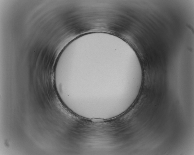 X0000098191284200805221508