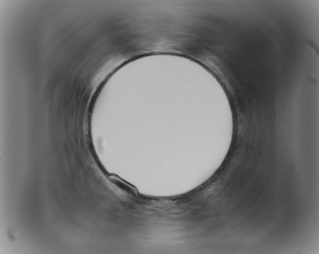 X0000098191285200805221508