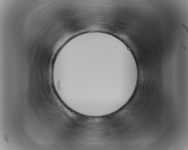 X0000098191286200805221508