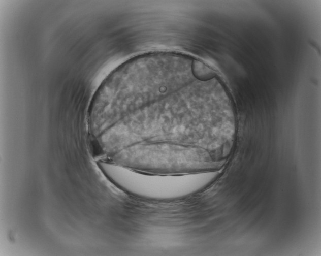 X0000098191287200805221508