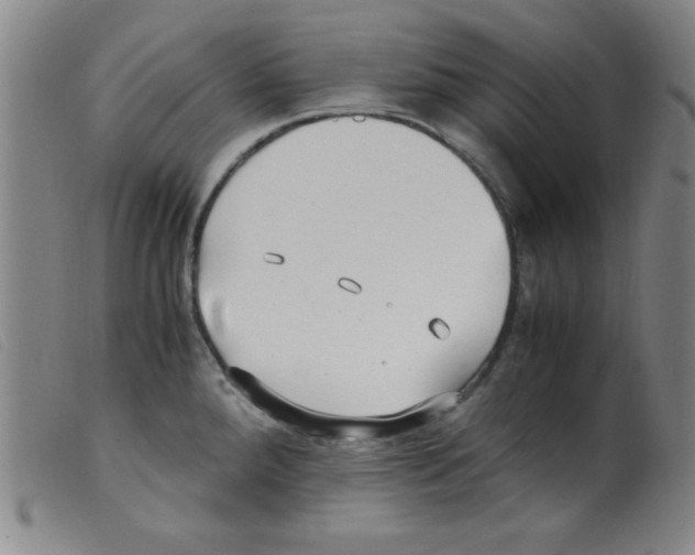 X0000098191288200805221508