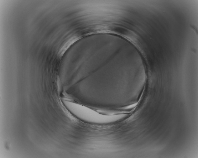 X0000098191289200805221508