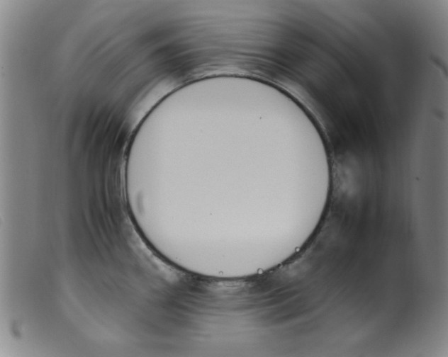 X0000098191290200805221508