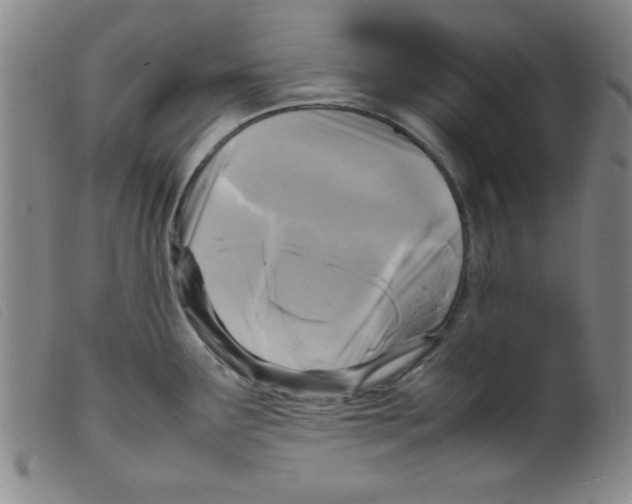 X0000098191291200805221508