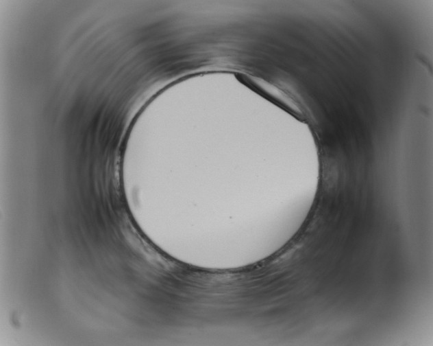 X0000098191292200805221508