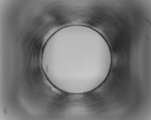 X0000098191294200805221508