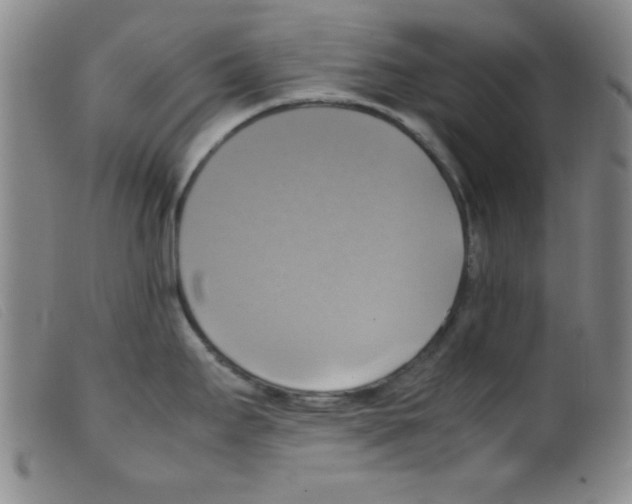 X0000098191295200805221508