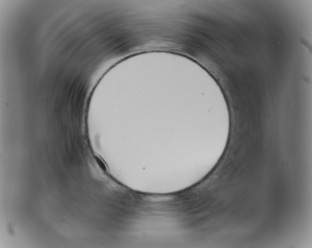 X0000098191296200805221508