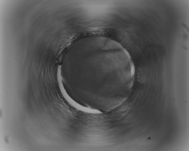 X0000098191298200805221507