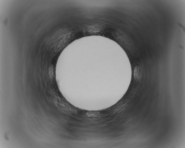 X0000098191299200805221507