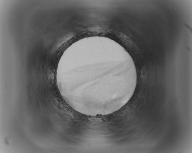 X0000098191302200805221507