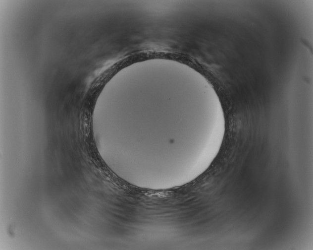 X0000098191303200805221507