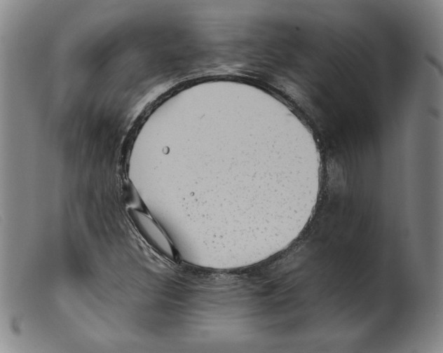 X0000098191308200805221507