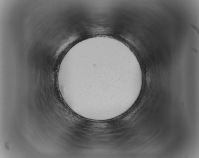 X0000098191309200805221507