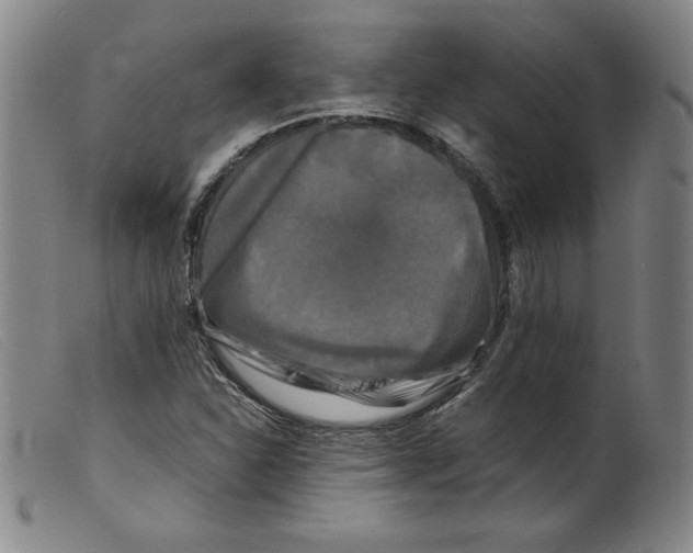 X0000098191310200805221507